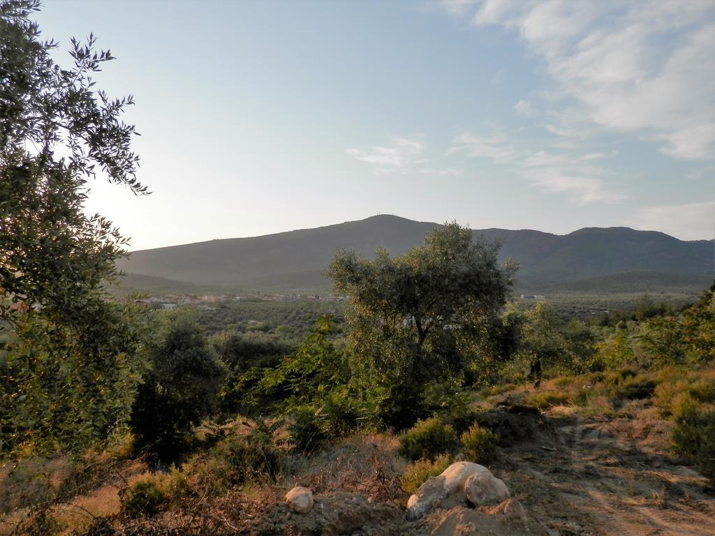 Appartamento Thea Athos Limenaria  Esterno foto